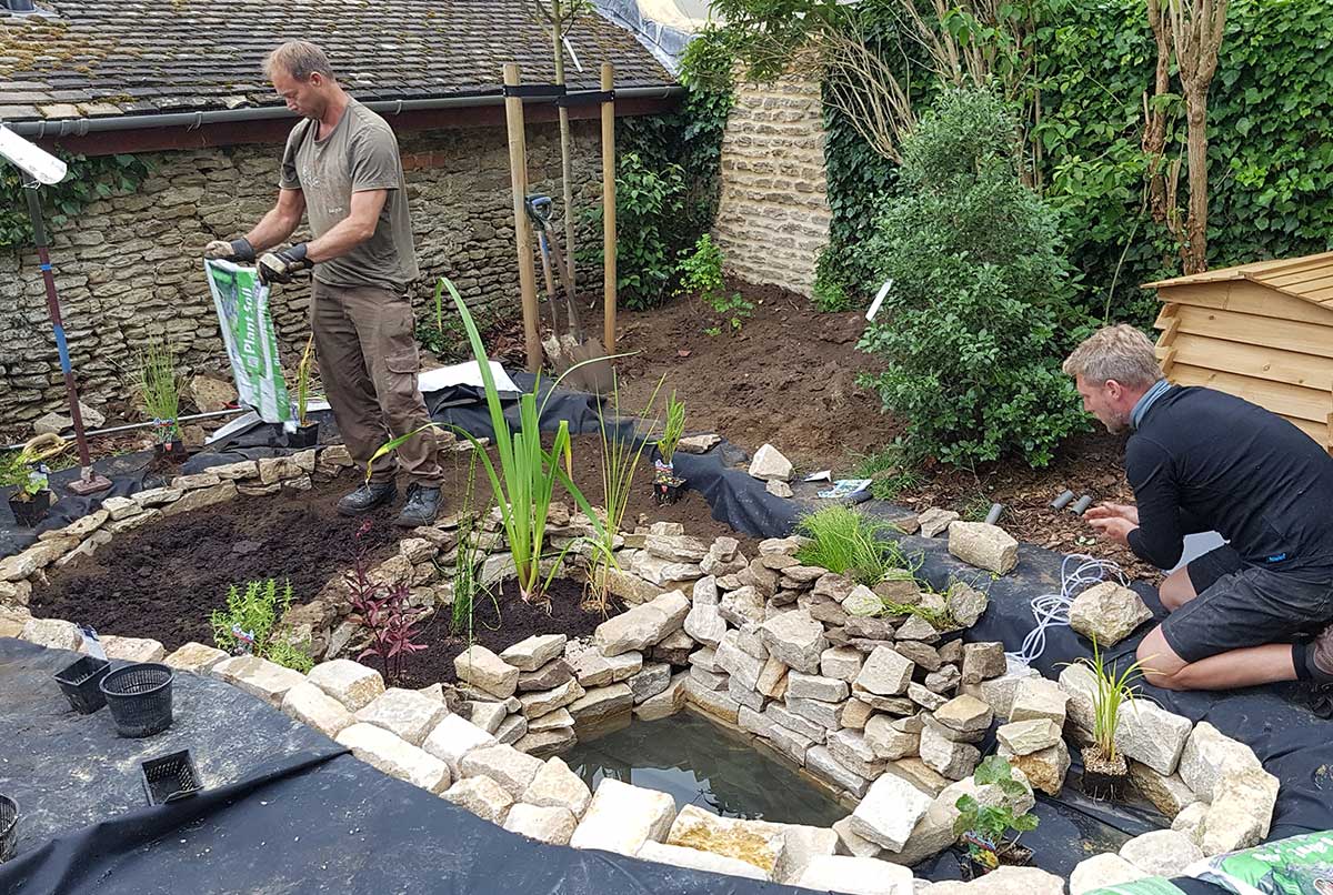 eco-friendly pond, Longworth, Oxfordshire - Gaiaveda Gardens