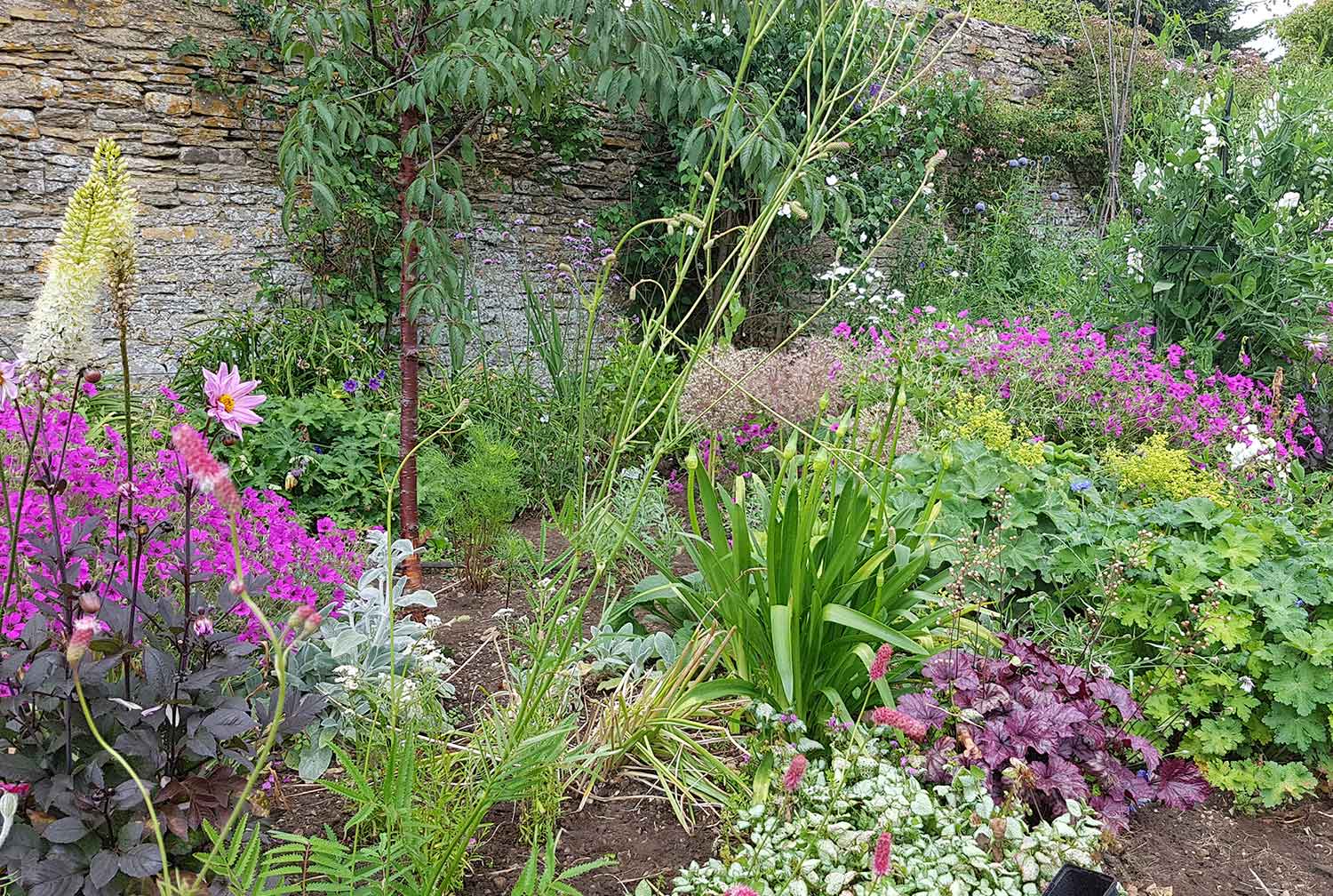 Seasonal Garden Maintenance Oxfordshire - Gaiaveda Gardens